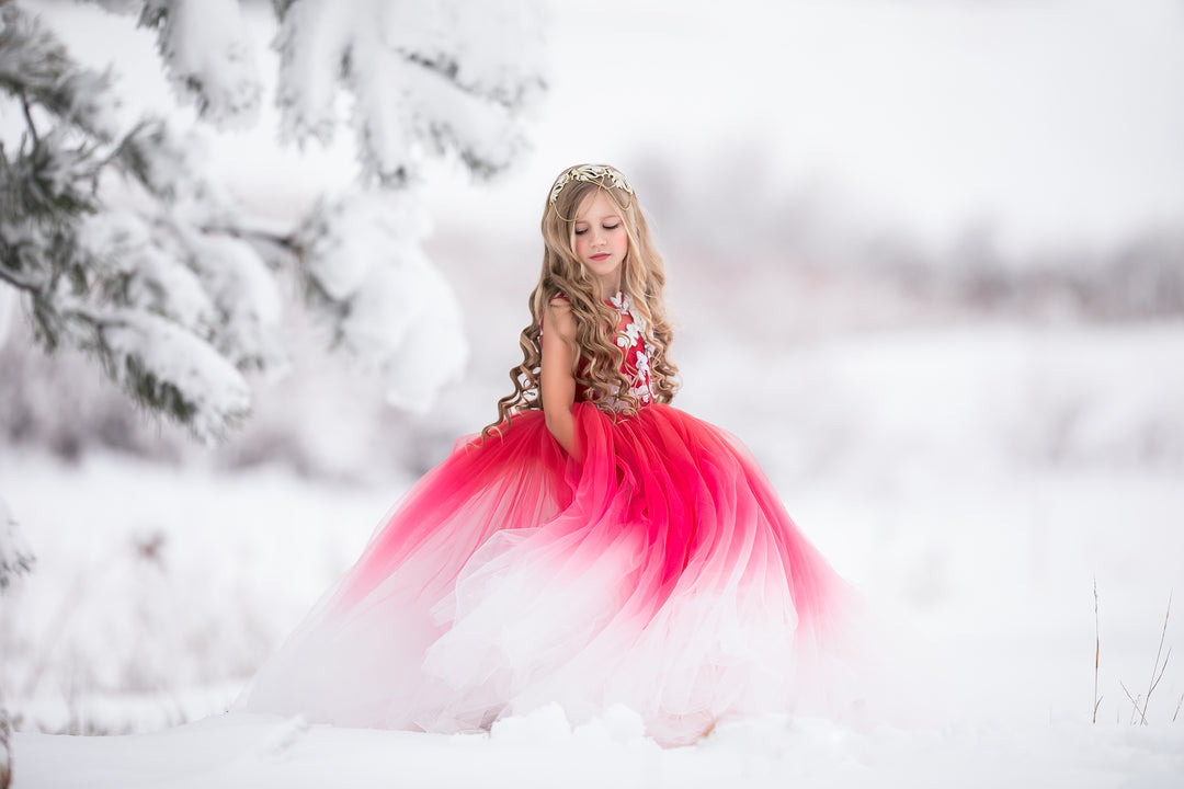 Amaryllis Gown in Red Ombre