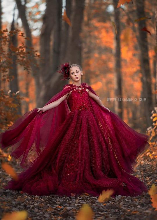 Crimson Poise Gown