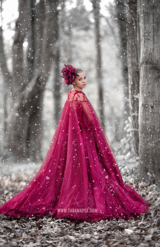 Crimson Poise Gown
