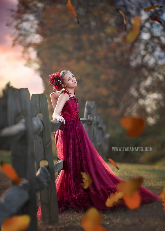 Crimson Poise Gown
