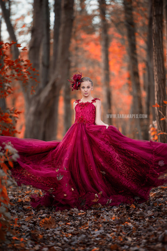 Crimson Poise Gown