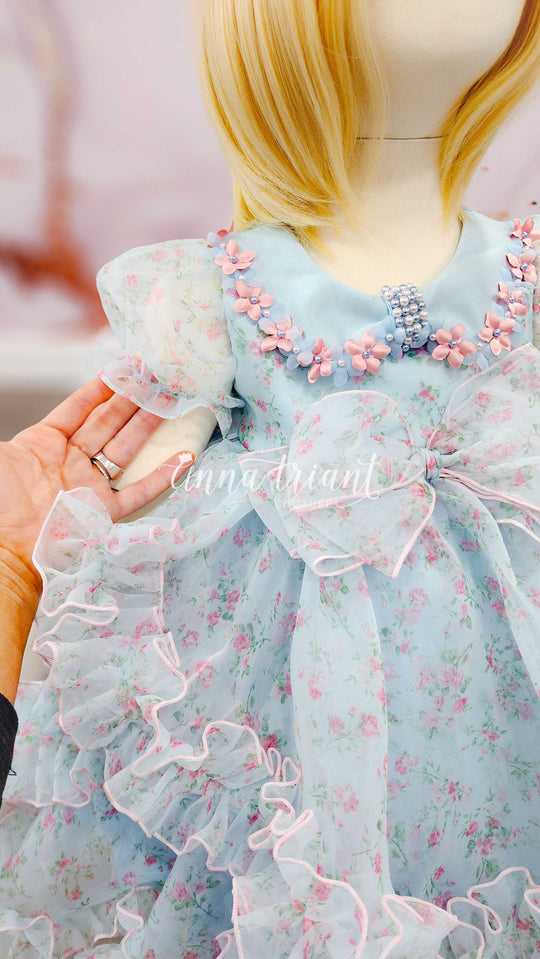 Ditsy Floral Baby Anna Dress