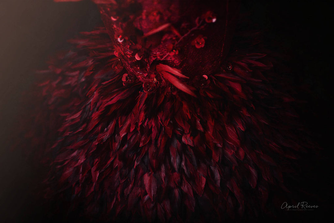 Phoenix Gown