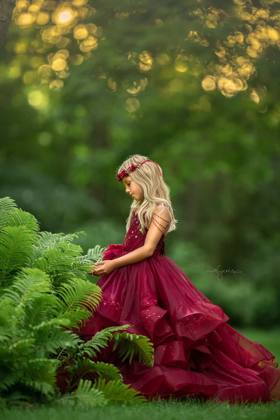 Refined Burgundy Gown
