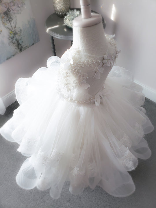 Sheer Romance Dress