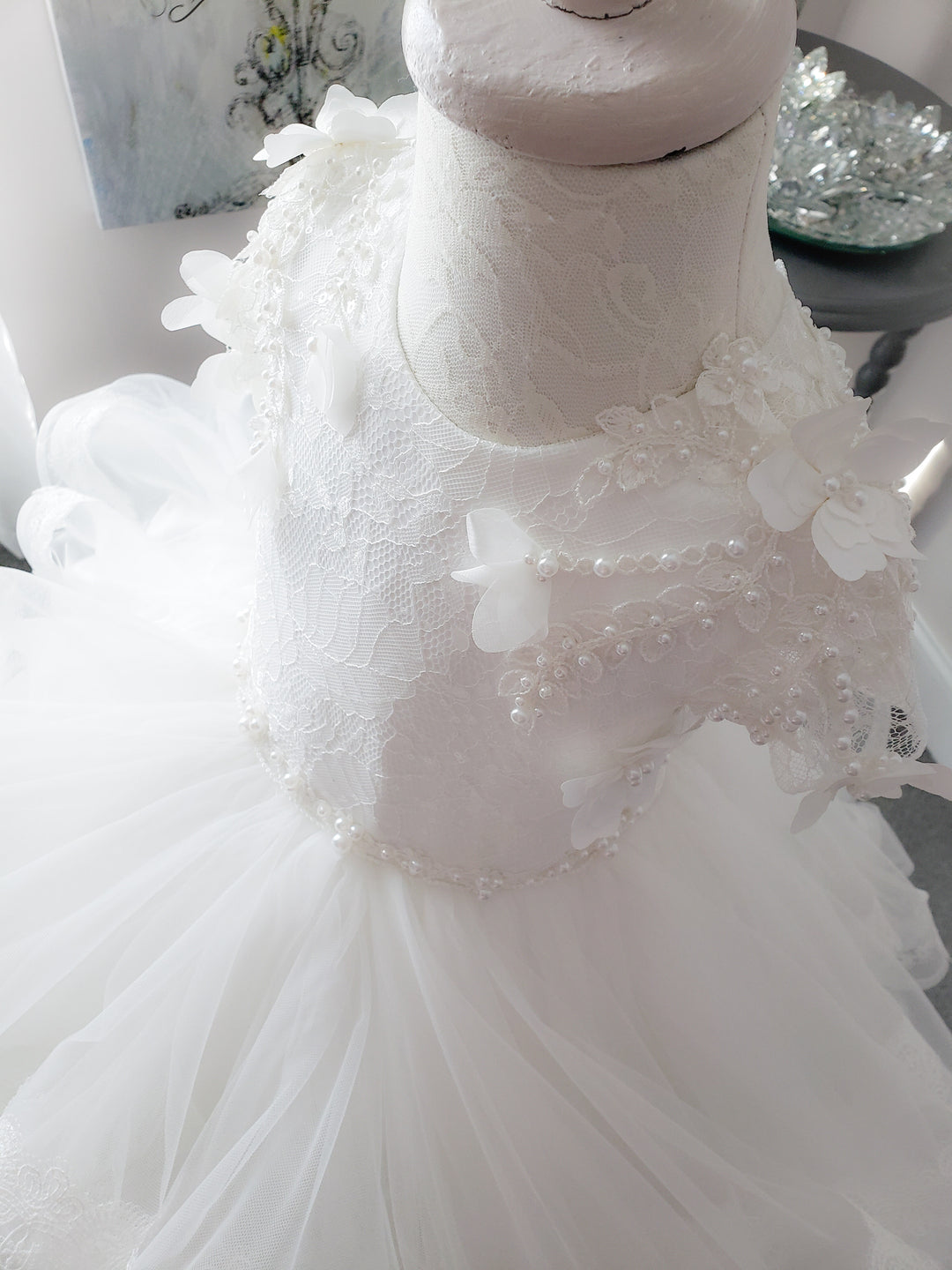 Sheer Romance Dress