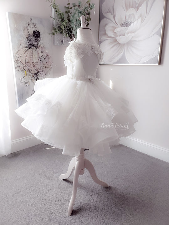 Sheer Romance Dress