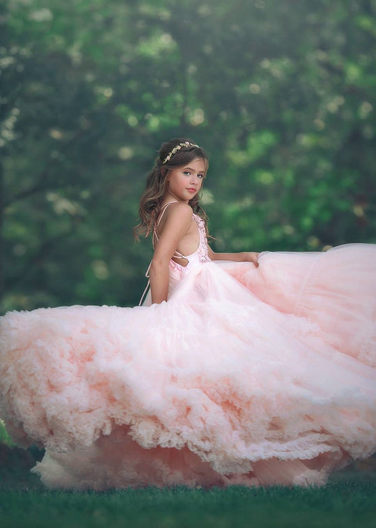 Sumptuous Gown