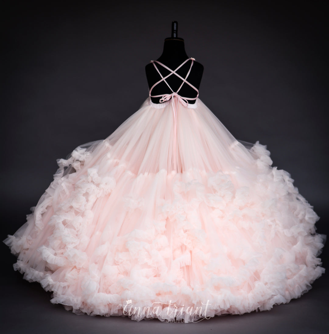 Sumptuous Gown