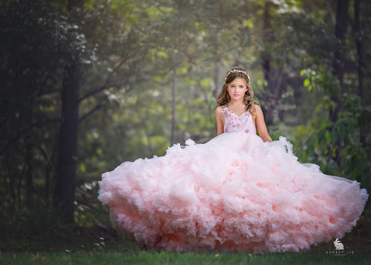 Sumptuous Gown