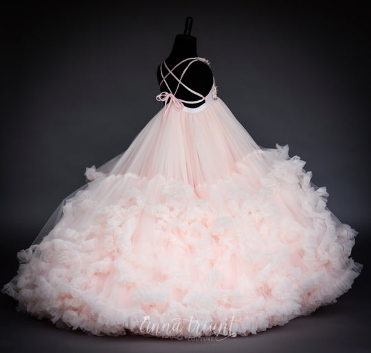 Sumptuous Gown